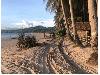 Beach-front Lot for Sale in Brgy. Bucana, El Nido, Palawan